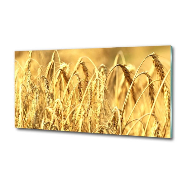 Foto en cristal de alta calidad con impresión uv horizontal Cereal