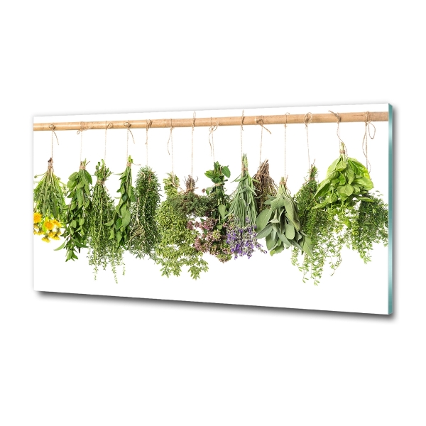 Cuadro decorativo de vidrio para salón horizontal Hierbas en una cuerda