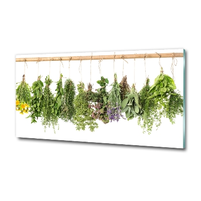 Cuadro decorativo de vidrio para salón horizontal Hierbas en una cuerda