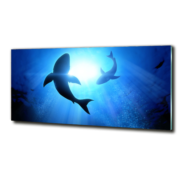 Cuadro decorativo de vidrio para salón horizontal Dos tiburones