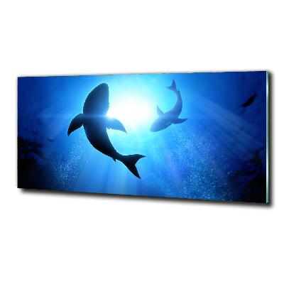Cuadro decorativo de vidrio para salón horizontal Dos tiburones