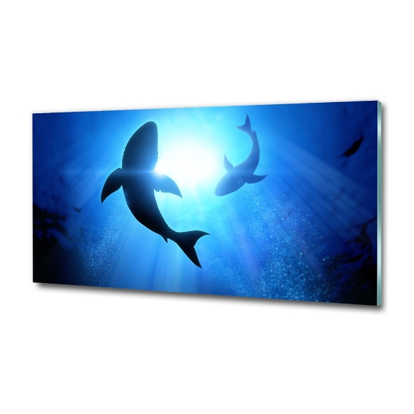 Cuadro decorativo de vidrio para salón horizontal Dos tiburones