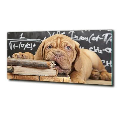 Foto en cristal de alta calidad con impresión uv horizontal El perro está mordiendo el libro.