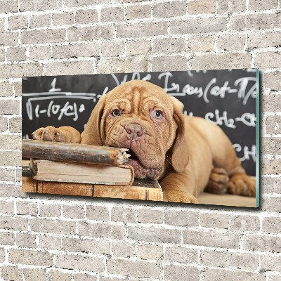 Foto en cristal de alta calidad con impresión uv horizontal El perro está mordiendo el libro.