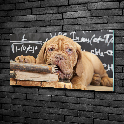 Foto en cristal de alta calidad con impresión uv horizontal El perro está mordiendo el libro.