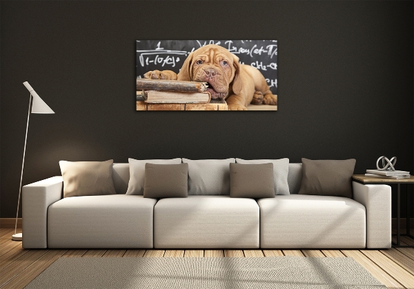 Foto en cristal de alta calidad con impresión uv horizontal El perro está mordiendo el libro.