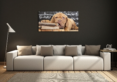 Foto en cristal de alta calidad con impresión uv horizontal El perro está mordiendo el libro.