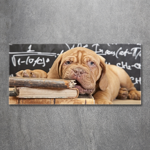 Foto en cristal de alta calidad con impresión uv horizontal El perro está mordiendo el libro.