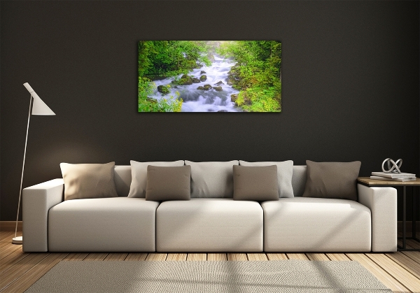 Cuadro de cristal templado moderno horizontal Río de montaña