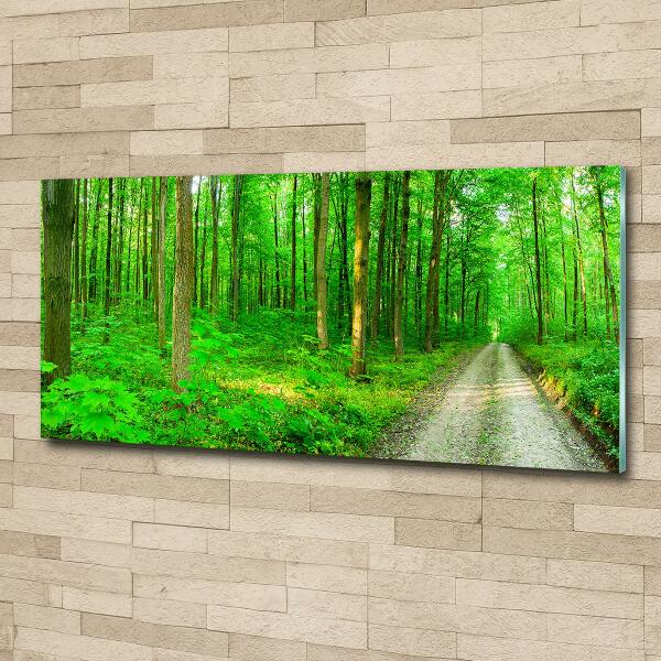 Cuadro decorativo de vidrio para salón horizontal Árboles en el bosque