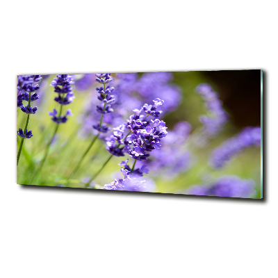 Foto en cristal de alta calidad con impresión uv horizontal Lavanda