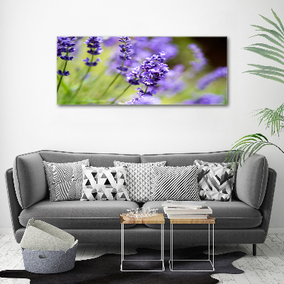 Foto en cristal de alta calidad con impresión uv horizontal Lavanda