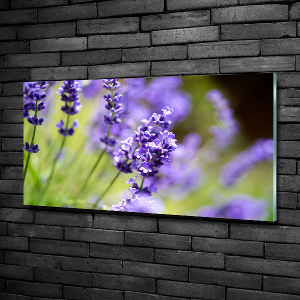 Foto en cristal de alta calidad con impresión uv horizontal Lavanda