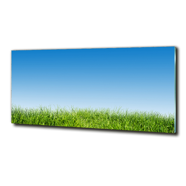 Cuadro de cristal templado moderno horizontal Césped