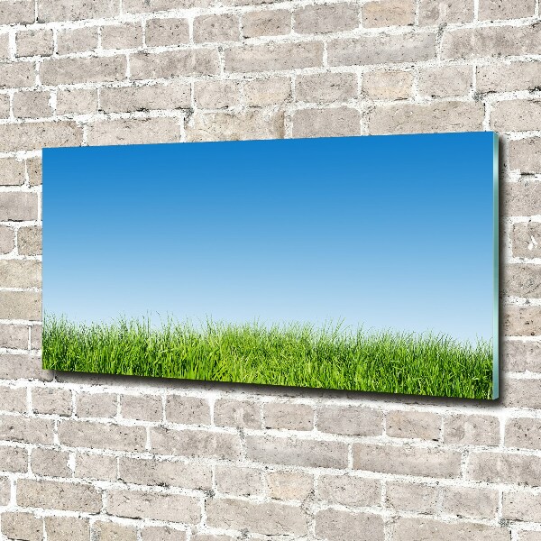 Cuadro de cristal templado moderno horizontal Césped