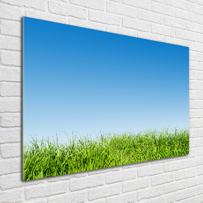 Cuadro de cristal templado moderno horizontal Césped