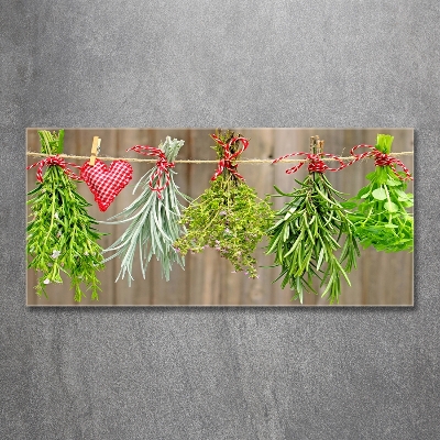 Cuadro decorativo de vidrio para salón horizontal Hierbas en una cuerda