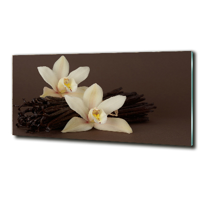 Cuadro decorativo de vidrio para salón horizontal vainas de vainilla