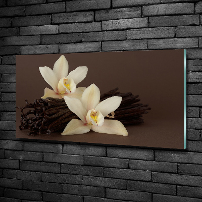 Cuadro decorativo de vidrio para salón horizontal vainas de vainilla