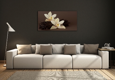 Cuadro decorativo de vidrio para salón horizontal vainas de vainilla