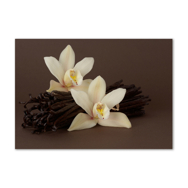 Cuadro decorativo de vidrio para salón horizontal vainas de vainilla