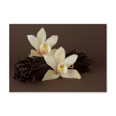 Cuadro decorativo de vidrio para salón horizontal vainas de vainilla