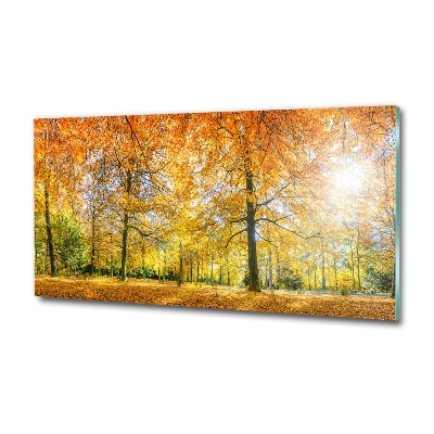 Cuadro decorativo de vidrio para salón horizontal Bosque en otoño