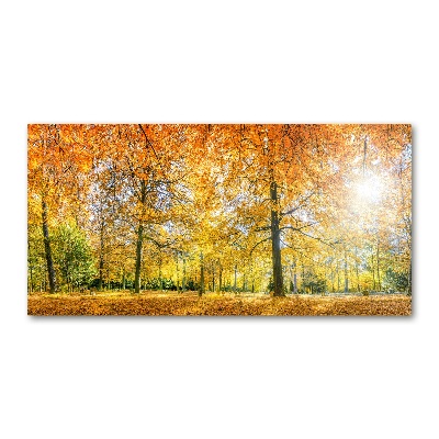 Cuadro decorativo de vidrio para salón horizontal Bosque en otoño