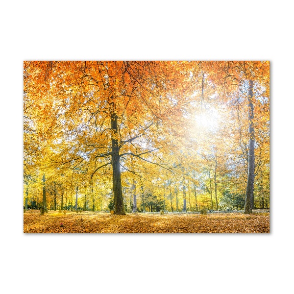 Cuadro decorativo de vidrio para salón horizontal Bosque en otoño