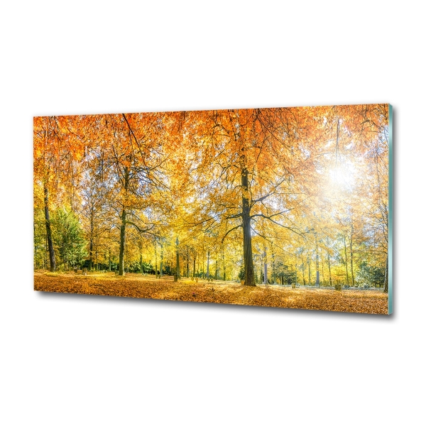 Cuadro decorativo de vidrio para salón horizontal Bosque en otoño