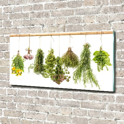 Foto en cristal de alta calidad con impresión uv horizontal Hierbas en una cuerda