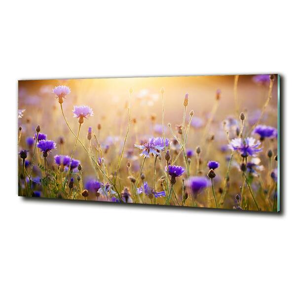 Foto en cristal de alta calidad con impresión uv horizontal Flores silvestres