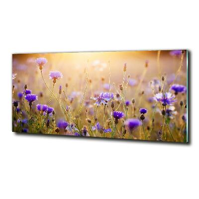 Foto en cristal de alta calidad con impresión uv horizontal Flores silvestres