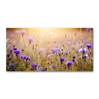 Foto en cristal de alta calidad con impresión uv horizontal Flores silvestres