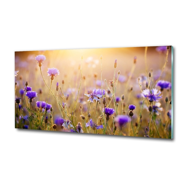 Foto en cristal de alta calidad con impresión uv horizontal Flores silvestres
