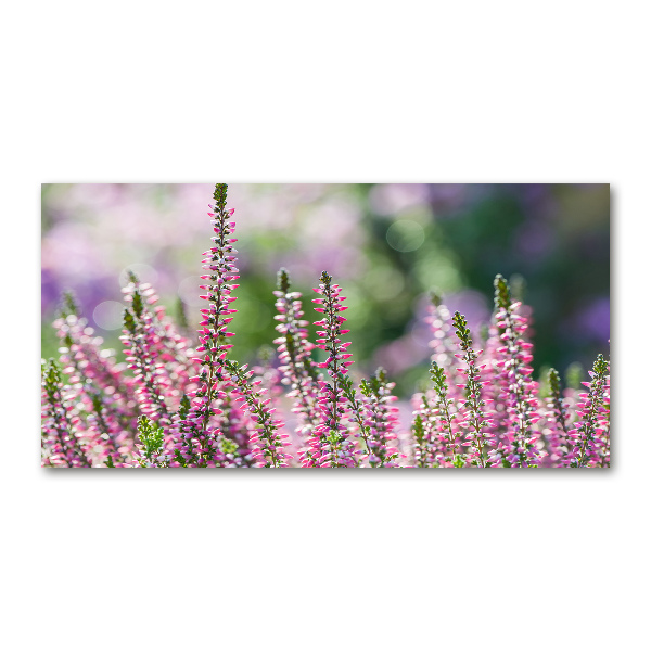 Cuadro de cristal templado moderno horizontal flores de brezo