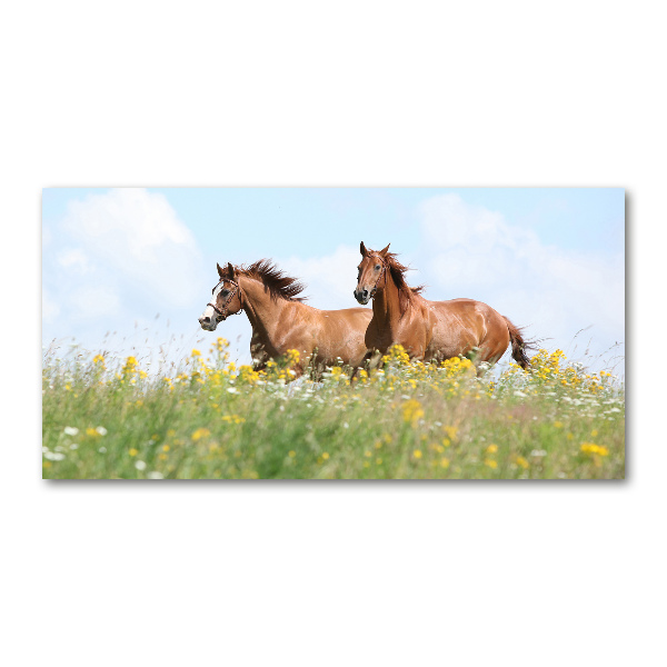 Foto en cristal de alta calidad con impresión uv horizontal Dos caballos galopando