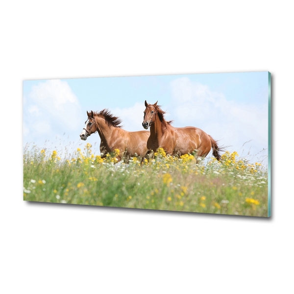 Foto en cristal de alta calidad con impresión uv horizontal Dos caballos galopando