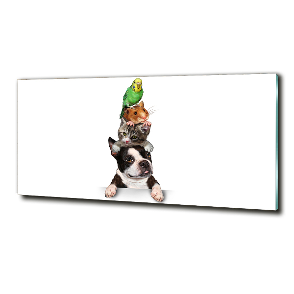 Foto-obraz szkło hartowane Grupa zwierząt