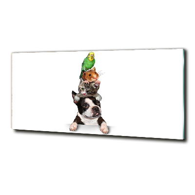 Impresión en cristal con acabado brillante horizontal Un grupo de animales