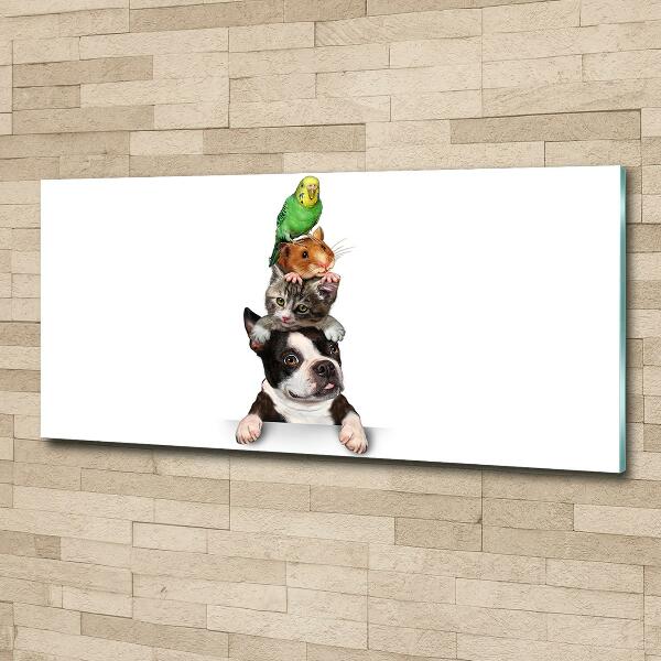 Impresión en cristal con acabado brillante horizontal Un grupo de animales