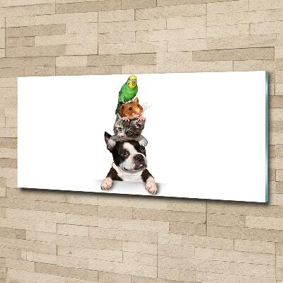 Foto-obraz szkło hartowane Grupa zwierząt