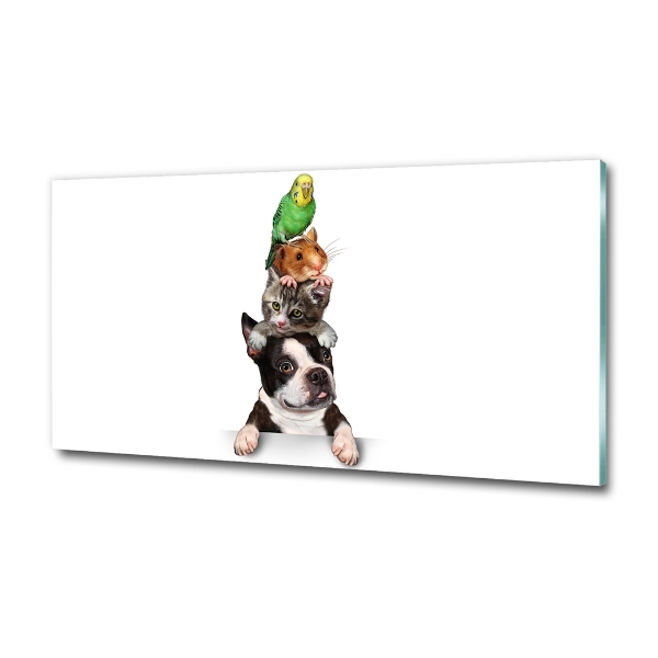 Impresión en cristal con acabado brillante horizontal Un grupo de animales