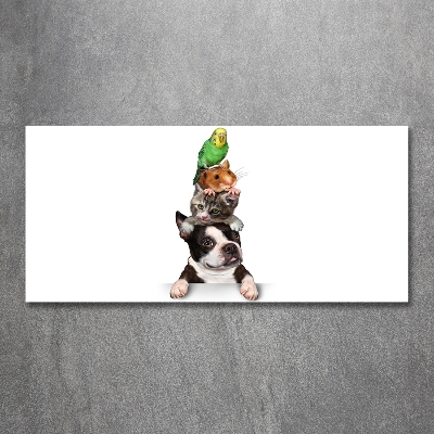 Impresión en cristal con acabado brillante horizontal Un grupo de animales