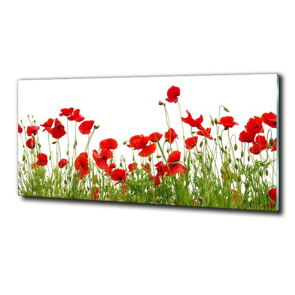 Impresión en cristal con acabado brillante horizontal Amapolas