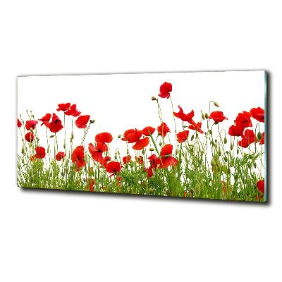 Impresión en cristal con acabado brillante horizontal Amapolas