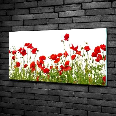Impresión en cristal con acabado brillante horizontal Amapolas