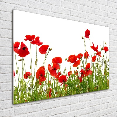 Impresión en cristal con acabado brillante horizontal Amapolas