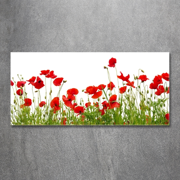 Impresión en cristal con acabado brillante horizontal Amapolas