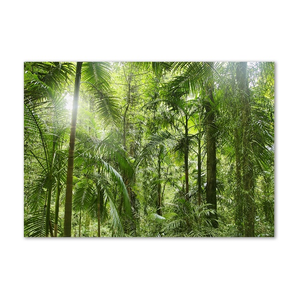 Cuadro decorativo de vidrio para salón horizontal Bosque tropical